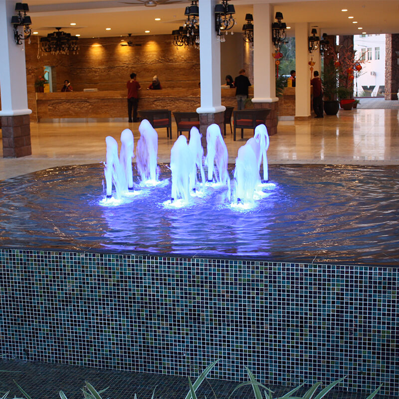 Water Feature and Fish Pond