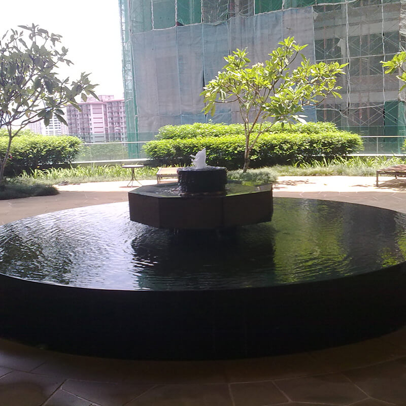 Water Feature and Fish Pond